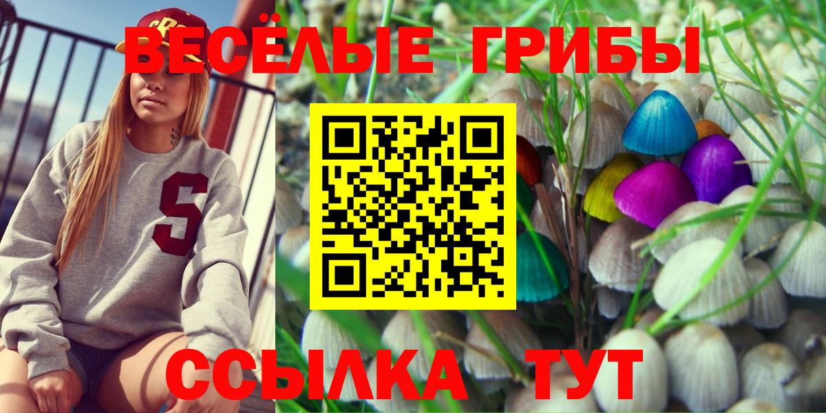 Свободный  Псилоцибиновые грибы Psilocybe  Вход с VPN  Псилоцибиновые грибы мицелий 